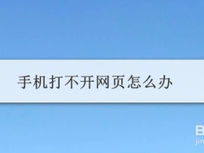 手机网址页面打不开怎么办（手机网址打不开无法显示网页怎么办）